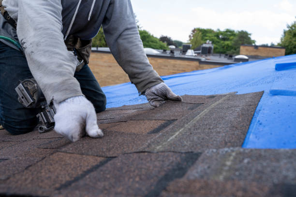 Best Roof Waterproofing Services  in Perry, UT
